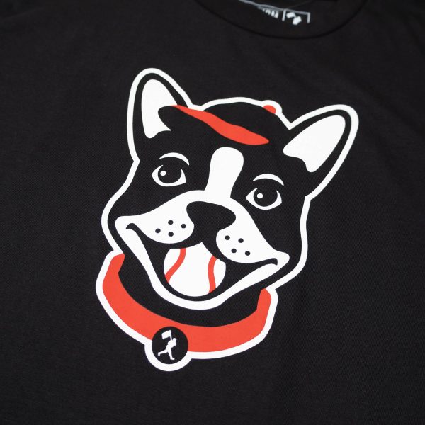 Boston Terrier - Bow Wow Collection For Sale