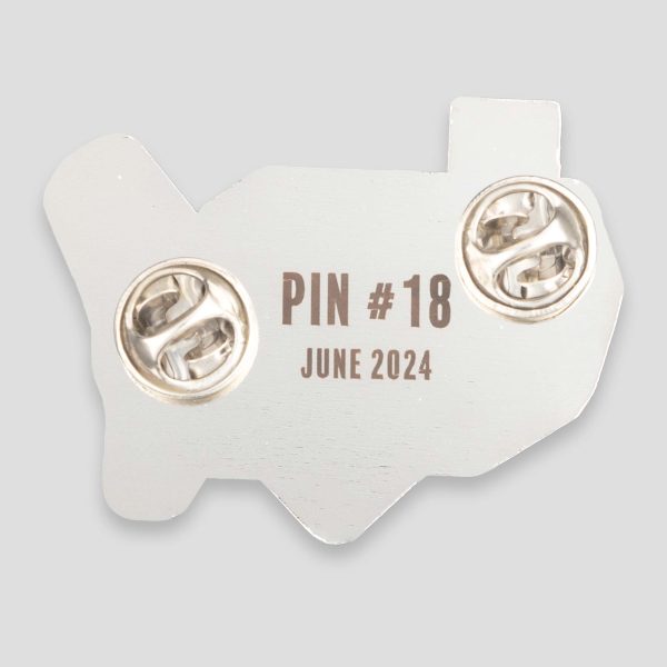 Pin of the Month - June 2024 - Baseball Lives Here Discount