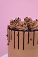 Triple Chocolate 3 Layer Vegan Cake Online