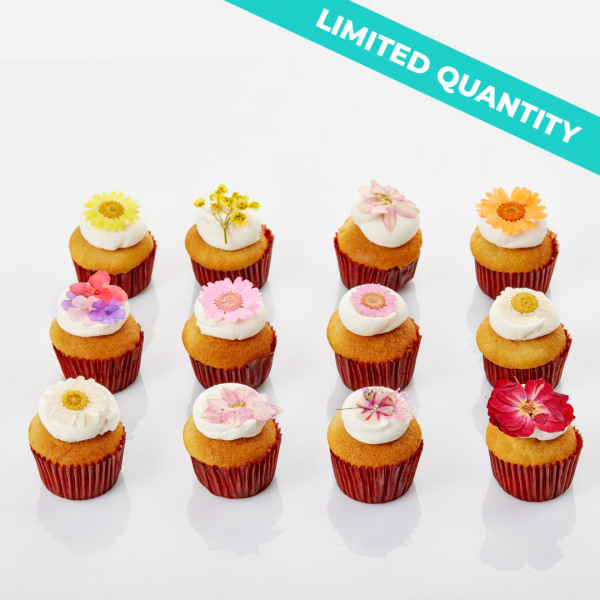 Bunnie Garden Vegan Mini-Cupcakes Assortment Online Hot Sale