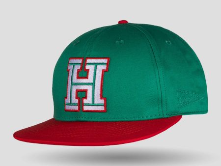 Mexico Flag Snapback Cap - Naranjeros De Hermosillo For Sale