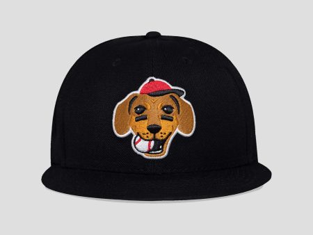 Dachshund Cap (Bow Wow Collection) Sale