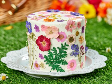 Bunnie Garden Cake For Discount