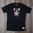 Boston Terrier - Bow Wow Collection For Sale