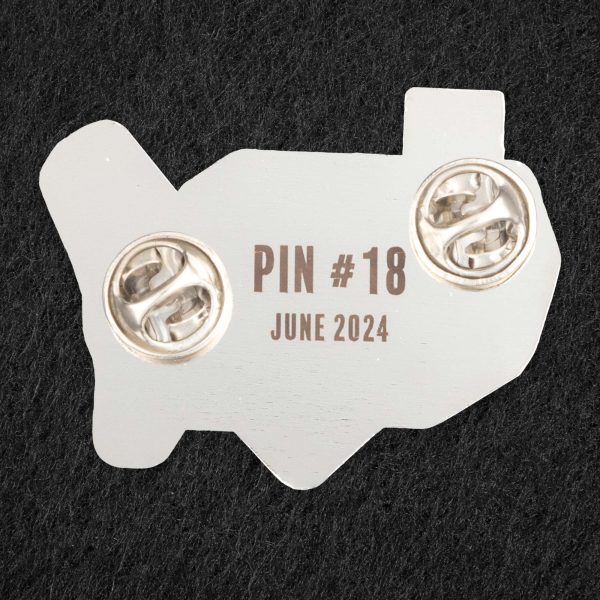 Pin of the Month - June 2024 - Baseball Lives Here Discount