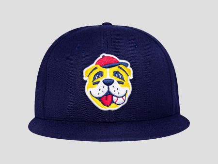 Bulldog Cap (Bow Wow Collection) Cheap