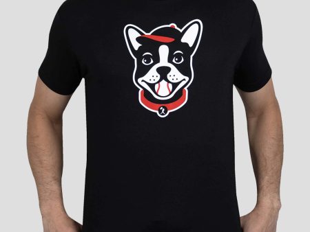 Boston Terrier - Bow Wow Collection For Sale