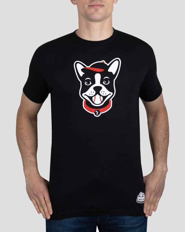 Boston Terrier - Bow Wow Collection For Sale