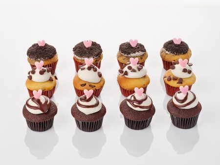 Chocolate Lovers Vegan Mini-Cupcakes Assortment Online now