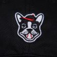 Boston Terrier Cap (Bow Wow Collection) Hot on Sale