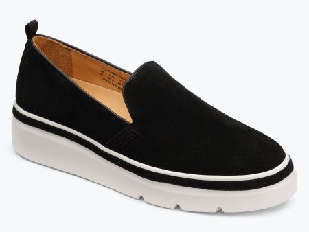 Sutton Suede Sneaker - Black Fashion