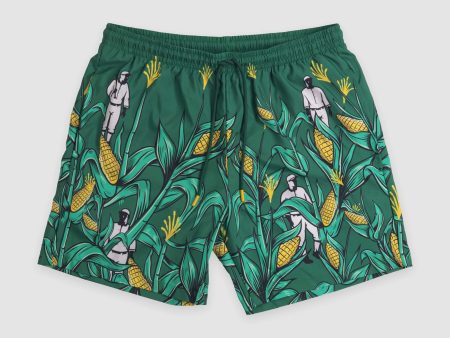 Field of Dreams Cage Trunks on Sale